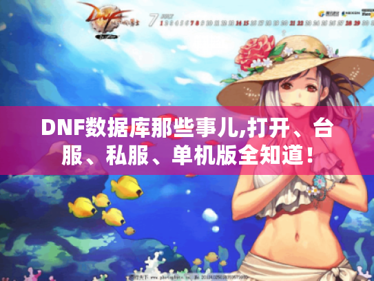 DNF数据库那些事儿,打开、台服、私服、单机版全知道！
