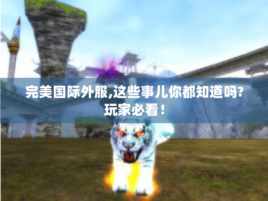 完美国际外服,这些事儿你都知道吗?玩家必看！