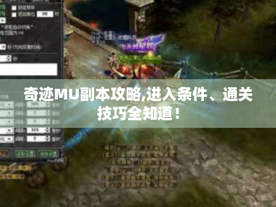 奇迹MU副本攻略,进入条件、通关技巧全知道！