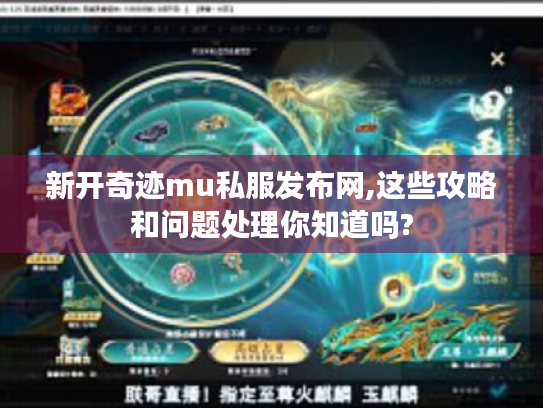 新开奇迹mu私服发布网,这些攻略和问题处理你知道吗?