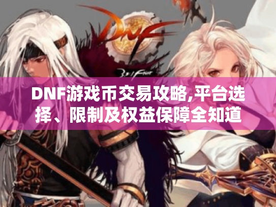 DNF游戏币交易攻略,平台选择、限制及权益保障全知道