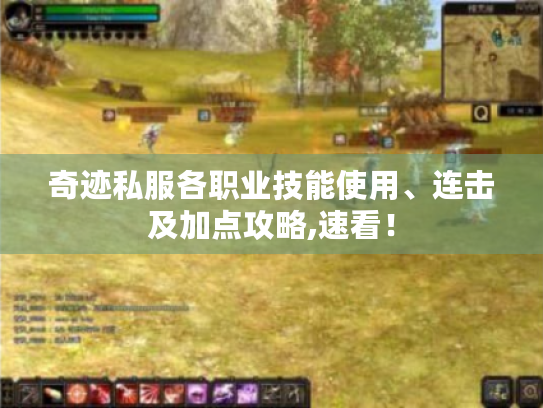奇迹私服各职业技能使用、连击及加点攻略,速看！