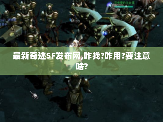 最新奇迹SF发布网,咋找?咋用?要注意啥?