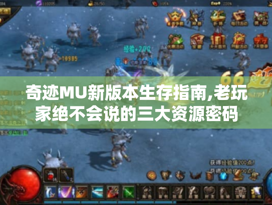 奇迹MU新版本生存指南,老玩家绝不会说的三大资源密码