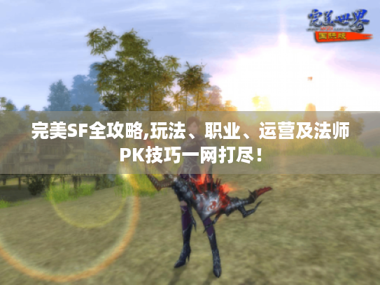 完美SF全攻略,玩法、职业、运营及法师PK技巧一网打尽！