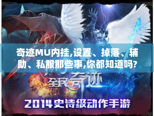 奇迹MU内挂,设置、掉落、辅助、私服那些事,你都知道吗?