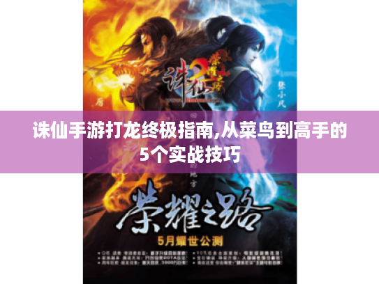 诛仙手游打龙终极指南,从菜鸟到高手的5个实战技巧