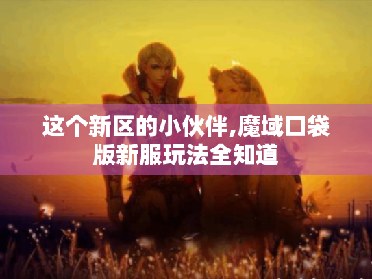 这个新区的小伙伴,魔域口袋版新服玩法全知道