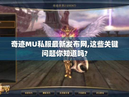 奇迹MU私服最新发布网,这些关键问题你知道吗?