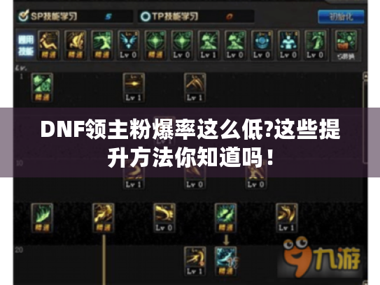 DNF领主粉爆率这么低?这些提升方法你知道吗！