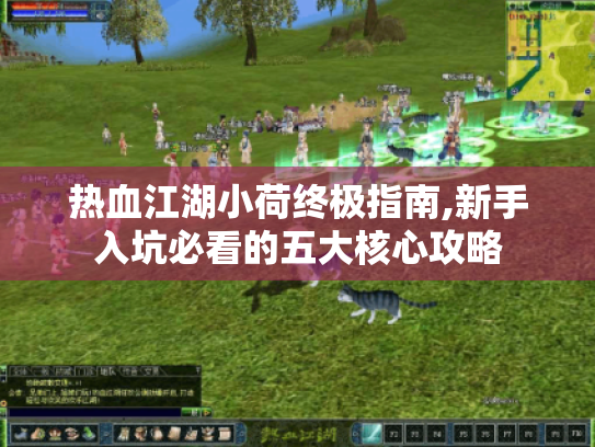 热血江湖小荷终极指南,新手入坑必看的五大核心攻略