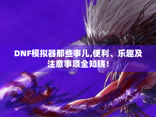 DNF模拟器那些事儿,便利、乐趣及注意事项全知晓！