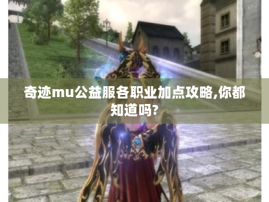 奇迹mu公益服各职业加点攻略,你都知道吗?