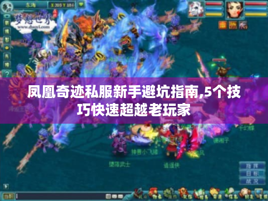 凤凰奇迹私服新手避坑指南,5个技巧快速超越老玩家