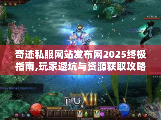 奇迹私服网站发布网2025终极指南,玩家避坑与资源获取攻略
