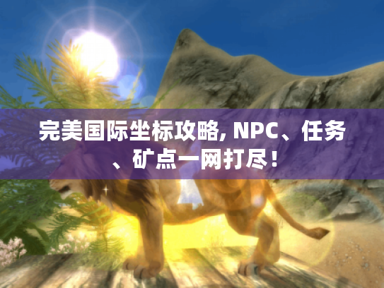 完美国际坐标攻略, NPC、任务、矿点一网打尽！