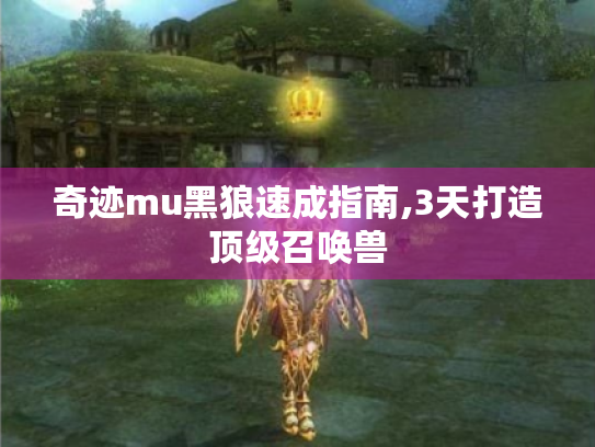奇迹mu黑狼速成指南,3天打造顶级召唤兽