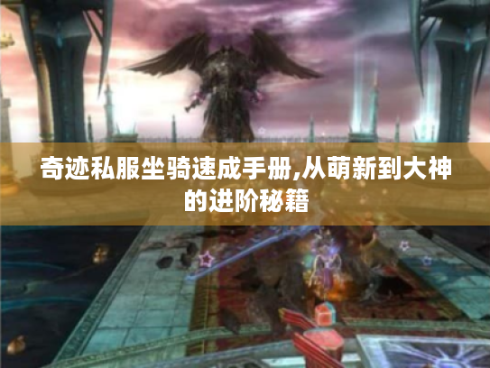 奇迹私服坐骑速成手册,从萌新到大神的进阶秘籍