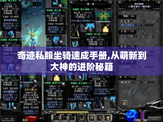 奇迹私服坐骑速成手册,从萌新到大神的进阶秘籍