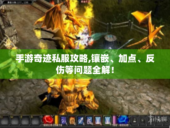 手游奇迹私服攻略,镶嵌、加点、反伤等问题全解! 手游奇迹私服攻略,镶嵌、加点、反伤等问题全解!