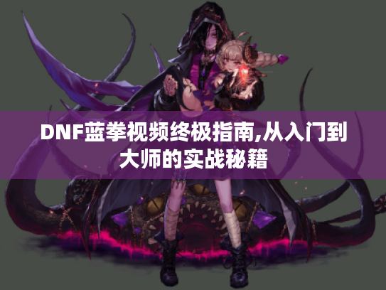 DNF蓝拳视频终极指南,从入门到大师的实战秘籍
