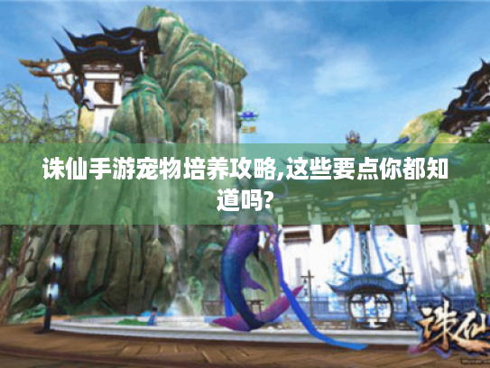 诛仙手游宠物培养攻略,这些要点你都知道吗?