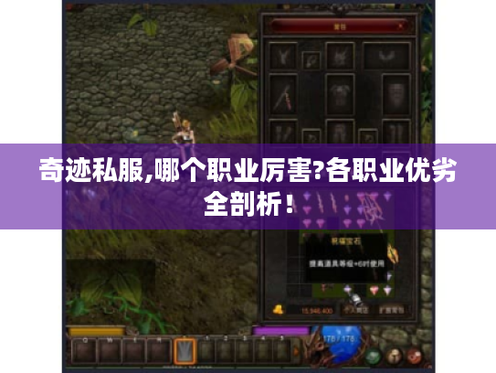 奇迹私服,哪个职业厉害?各职业优劣全剖析！