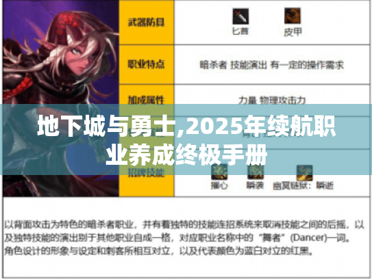 地下城与勇士,2025年续航职业养成终极手册