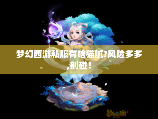 梦幻西游私服有啥猫腻?风险多多,别碰！