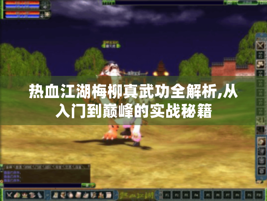 热血江湖梅柳真武功全解析,从入门到巅峰的实战秘籍 热血江湖梅柳真武功全解析,从入门到巅峰的实战秘籍