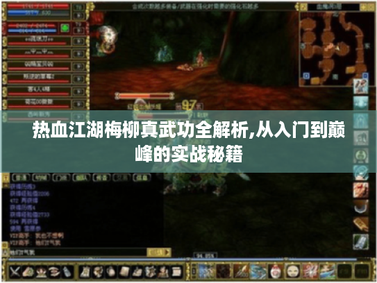 热血江湖梅柳真武功全解析,从入门到巅峰的实战秘籍 热血江湖梅柳真武功全解析,从入门到巅峰的实战秘籍