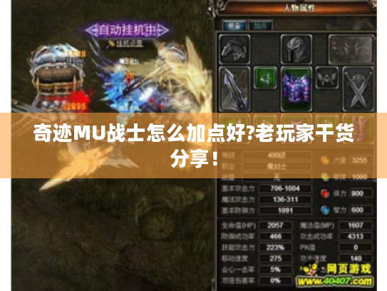 奇迹MU战士怎么加点好?老玩家干货分享！