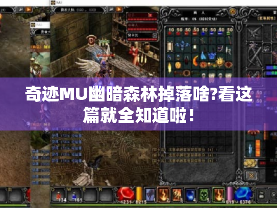 奇迹MU幽暗森林掉落啥?看这篇就全知道啦！