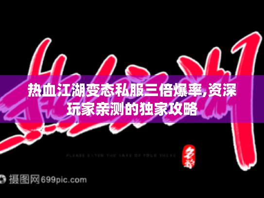 热血江湖变态私服三倍爆率,资深玩家亲测的独家攻略