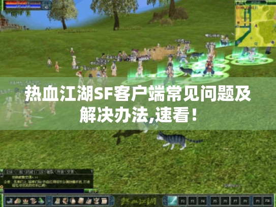 热血江湖SF客户端常见问题及解决办法,速看！