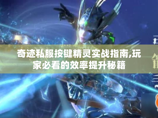 奇迹私服按键精灵实战指南,玩家必看的效率提升秘籍