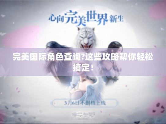 完美国际角色查询?这些攻略帮你轻松搞定！