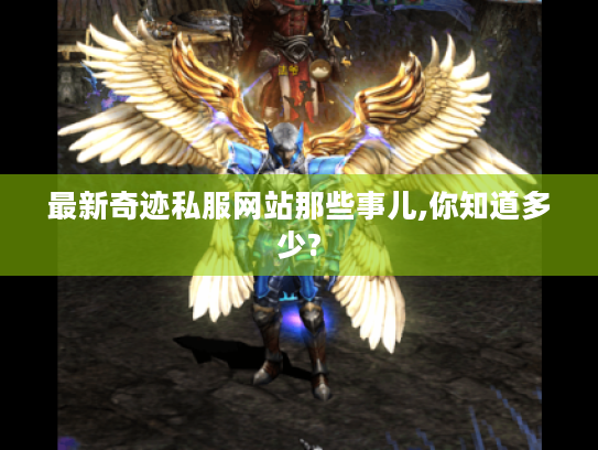 最新奇迹私服网站那些事儿,你知道多少?