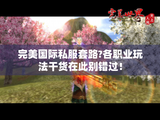 完美国际私服套路?各职业玩法干货在此别错过！