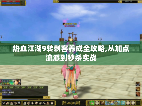 热血江湖9转刺客养成全攻略,从加点流派到秒杀实战