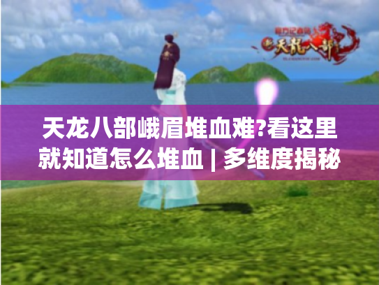 天龙八部峨眉堆血难?看这里就知道怎么堆血 | 多维度揭秘峨眉堆血攻略