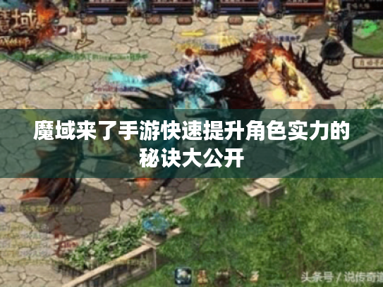 魔域来了手游快速提升角色实力的秘诀大公开 魔域来了手游快速提升角色实力的秘诀大公开
