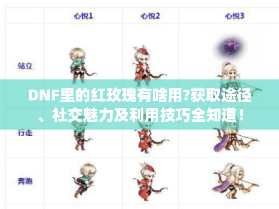 DNF里的红玫瑰有啥用?获取途径、社交魅力及利用技巧全知道！