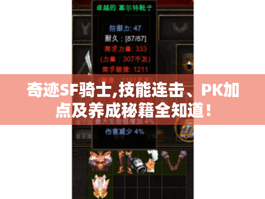 奇迹SF骑士,技能连击、PK加点及养成秘籍全知道！