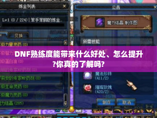 DNF熟练度能带来什么好处、怎么提升?你真的了解吗?