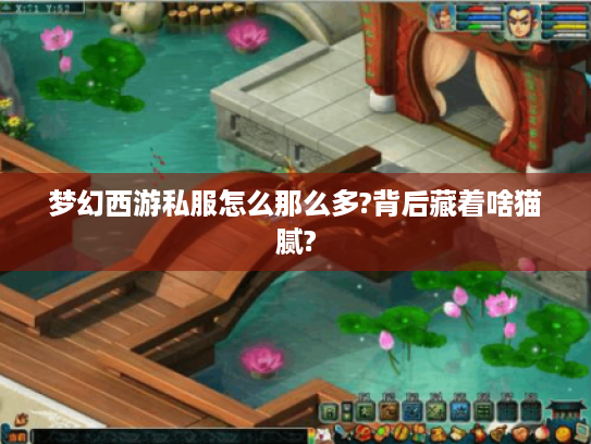 梦幻西游私服怎么那么多?背后藏着啥猫腻?