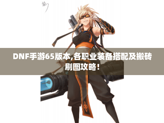 DNF手游65版本,各职业装备搭配及搬砖刷图攻略！