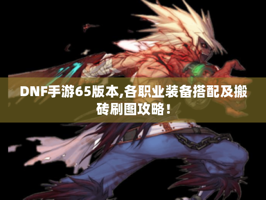 DNF手游65版本,各职业装备搭配及搬砖刷图攻略！