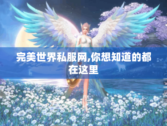 完美世界私服网,你想知道的都在这里