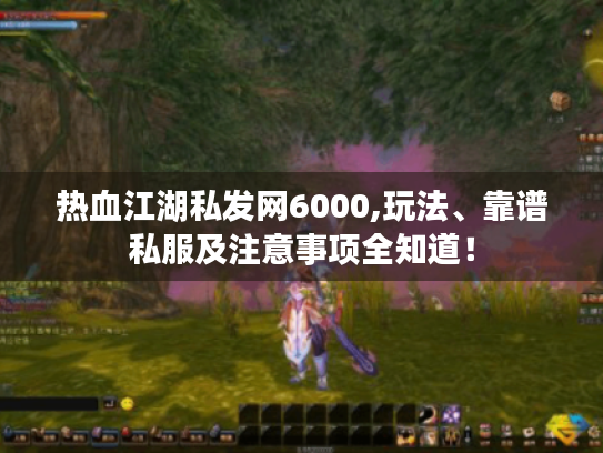 热血江湖私发网6000,玩法、靠谱私服及注意事项全知道! 热血江湖私发网6000,玩法、靠谱私服及注意事项全知道!